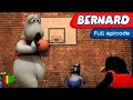 Bernard Bear 154 Basketball 3