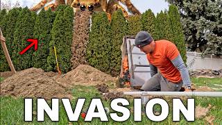 My Backyard Bunker has been compromised