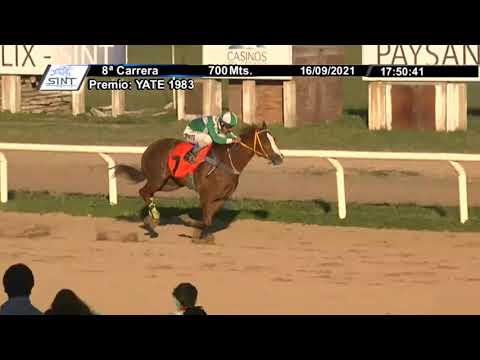 CARRERAS SINT PAYSANDU - 210916 c08 1° GITANA RUBIA