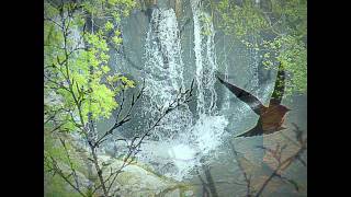 Heather Nova ~ River of Life