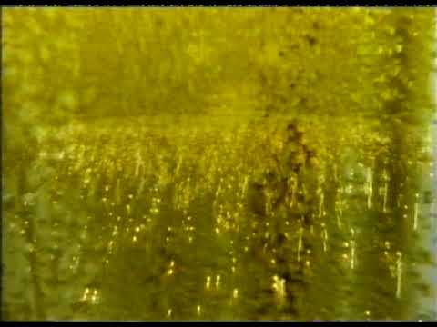 Warsteiner Begeisterung - alte TV Werbung 1999