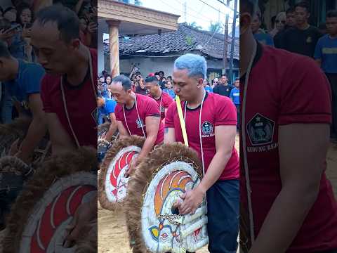 ACR LION BOYS FULL NYENI #jaranan #smbarong #bantengan #ndadi #mberot #kudalumping #barongan #shorts