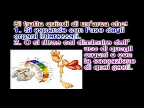 Dopo come fermato bere la vita Fotografia di uno scoiattolo di delirium tremens