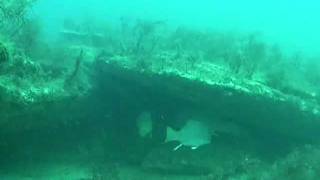 Роль черного и азовского морей в ловле рыбы