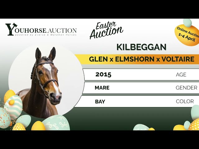 Kilbeggan @ show indoor