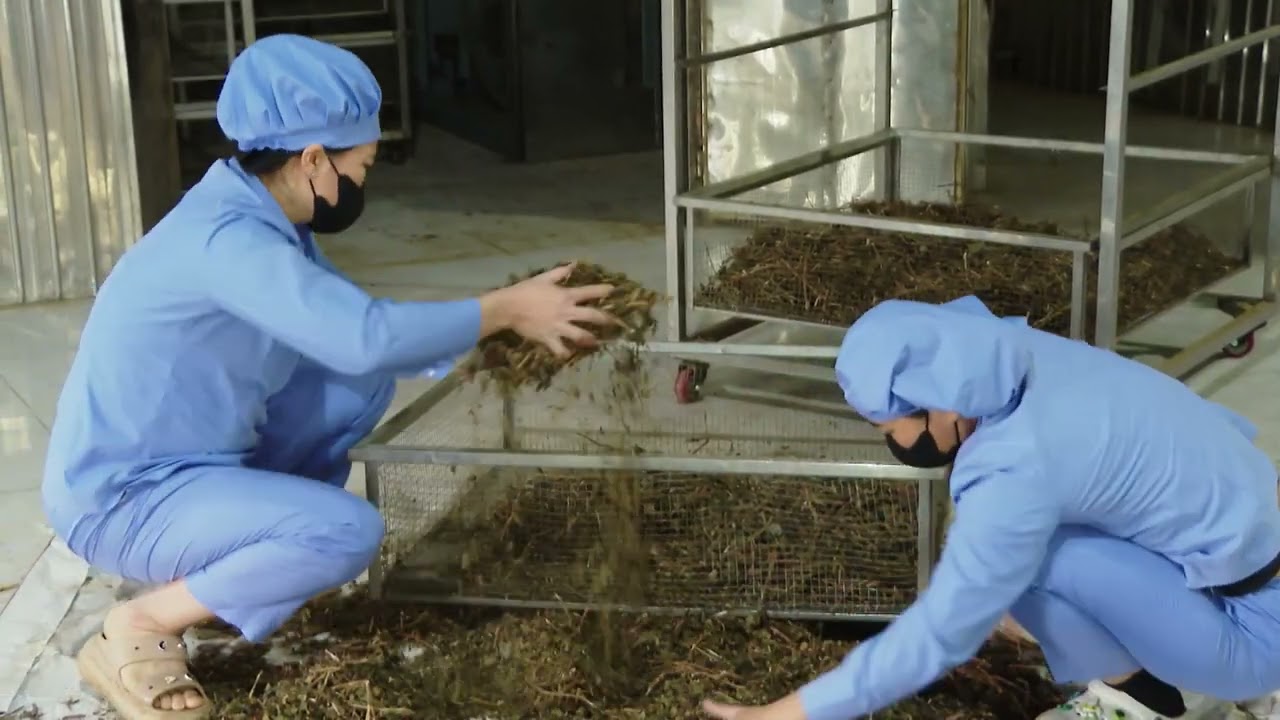 Mô hình xanh cho nông thôn mới ở Con Cuông