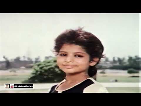 HAR KADAM HAR GHARI JANG HAI ZINDAGI - FILM SHERNI