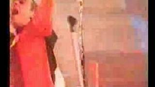 Robbie Williams Ant Music