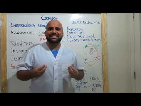 FILO DOS CORDADOS (INTRODUÇÃO)