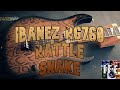 Ibanez RG760 Rattle Snake