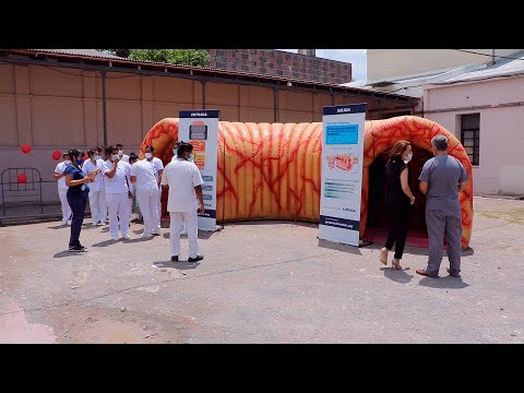 Detectado a tiempo, el cáncer de colon es curable en un 90% de los casos