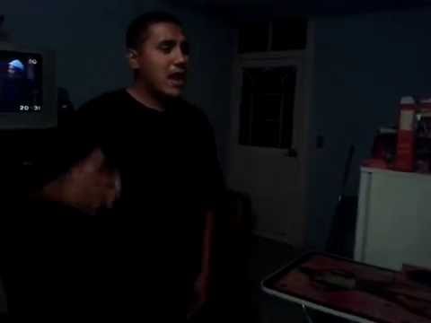 Mikrobarato - Ensayo 2013