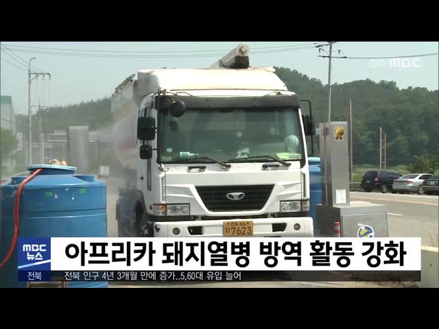 아프리카 돼지열병 방역 활동 강화