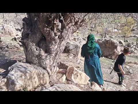 **Nomadic life: a journey to the heart of the mountains**