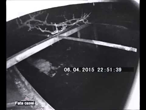 Glodeanu Silistea 04 20150406 222934