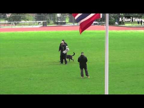 FCI NM IPO 2912 Inox Van de Biezenhoeve C