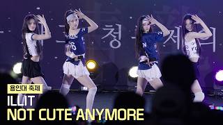 Download lagu 아일릿(ILLIT) - NOT CUTE ANYMORE (낫 큐트 애니모어) 직캠 | 용인대 축제 • 260512 mp3 Download lagu 아일릿(ILLIT) - NOT CUTE ANYMORE (낫 큐트 애니모어) 직캠 | 용인대 축제 • 260512 mp3