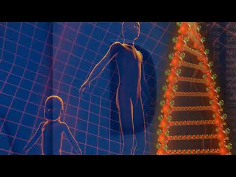 Whole Being Regeneration⎪DNA Stimulation⎪Slow Trance
