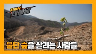 불탄 숲을 살리는 사람들 [현지인] / KBS대전 20240416 방송