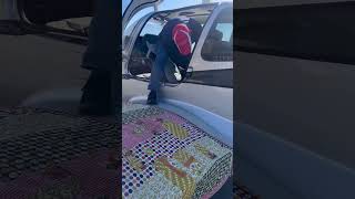 Video preview image #1 Basset Hound-Unknown Mix Puppy For Sale in Deepwater, NJ, USA