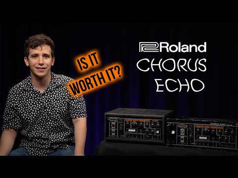 Vintage Roland Tape Delay the Chorus Echo: Is It Worth It? | Roland RE-501 and SRE-555