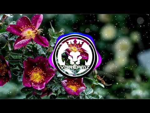 Lianiko & T U J Remix • W l a . C o q u i n e 2K18