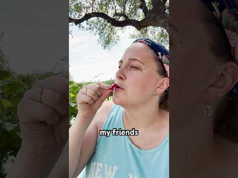 Keep Gaming My Friends #boardgames #outdoorgames #boardgames