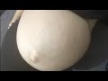 Mini Bites 2