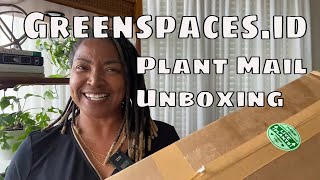 Greenspaces.id Rare Plant Haul Unboxing & Plant Import tips Plant Mail Beautiful Variegated Plants