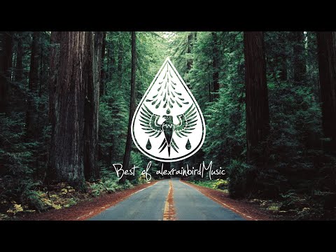 Best of alexrainbirdMusic 2022 ???? - An Indie/Pop/Folk/Rock Playlist