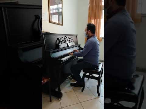 Parvaneye Man – Haamoon Hashemi | Cover of Fereidoun Foroughi