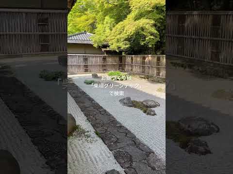 日本の禅庭：どうやって作るの？あなたのための5つのヒント！  庭園