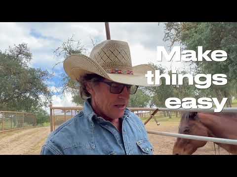 Stress free foal weaning using The Principles Of Training