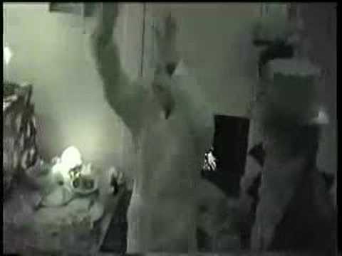 The Primate Five - The Day My Baby Gave Me A Surprise