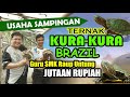 Guru SMK Ini Raup Penghasilan Puluhan Juta Rupiah Dari Ternak Kura Kura Brazil