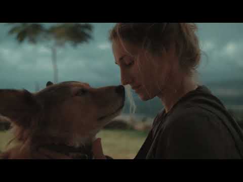 Help Me Stand - John Coggins #AGEditChallenge