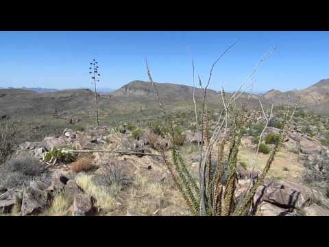 2013-10-04 - Peters Mesa summit panorama (12:00 noon)