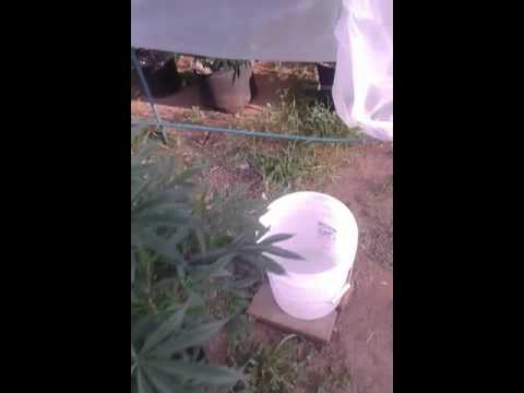 4/16 1upfarm update.