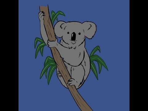 clap cotton - kookaburras