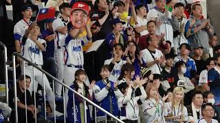 2024.11.23 #プレミア12 日本対台湾戦　チャンステーマTeamTaiwanで吉力吉撈・鞏冠（GILJEGILJAW K.K）応援　#台湾チア　#林襄 #teamtaiwan
