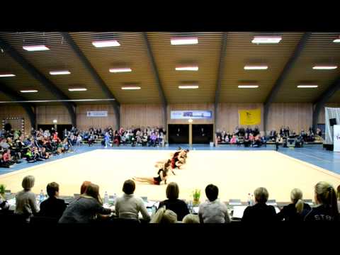 Gentur Rørslan Støkk - 2. steypakapping 2013