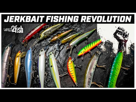 Jerkbait Fishing Unleashed | Baits You Need to Fish