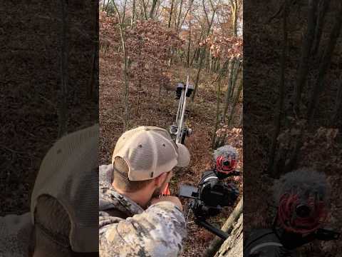Close range perfect shot with BOW!