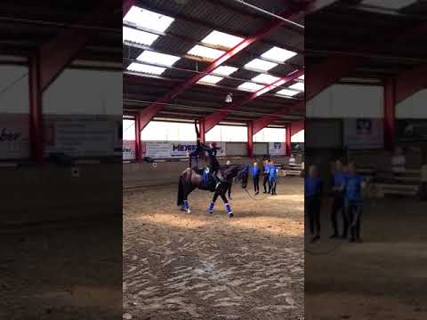 Kirchhatten 1 E-Gruppen Kür - 2.September 2017 in Kirchhatten