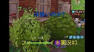 フォートナイト実況#3 【ブッシュ強すぎww】