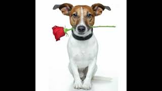 Limbo - Airplane mode (sped up)