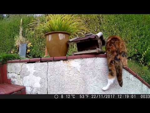 2017 11 23 Abenteuer Garten