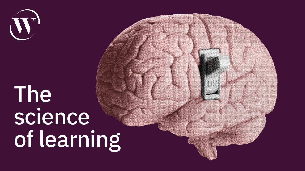 How to turn information into intelligence | Barbara Oakley