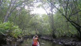 Corpo de Lama - Nação Zumbi