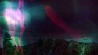 Cheatahs - Geographic